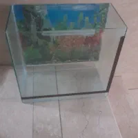 آکواریوم شیشه ۸میل