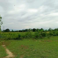 1600متر-خانه-کلنگی-سند-تک-برگ-قیمت-مناسب
