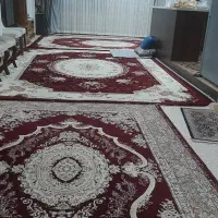 فرش ۷۰۰ شانه دوعدد ۱۲متری،یک عدد ۶متری|فرش|صباشهر, |دیوار