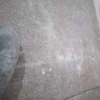 موکت موکت موکت