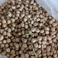 نخود|خوردنی و آشامیدنی|بروجرد, |دیوار