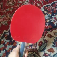 راکت پینگ پنگ با چسبندگی عالی|ورزش‌های توپی|تربت‌حیدریه, کاشانی|دیوار