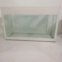 خریدار ماهی اکواریومی خانگی