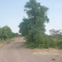 فروش یامعاوضه باغ بحر اتوبان قزوین با خانه در کرج|فروش زمین و ملک کلنگی|کرج, عظیمیه|دیوار