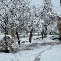 فروش دامداری