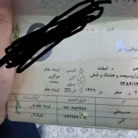 پوشه آبی رنگ گمشده در مصلی ۳۰