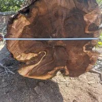 فروش چوب گردو قدیمی قهوه ای