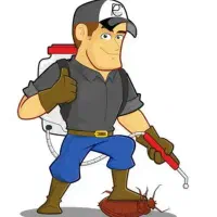 سمپاشی بامجوز