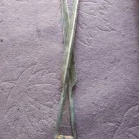 قیچی پشم چینی گوسفند قدیمی|کلکسیون اشیاء عتیقه|جهرم, |دیوار