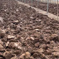 تراکتور باغی و بزرگ شخم روتیواتر تسطیح،خاک ورزی|خدمات باغبانی و درختکاری|هشتگرد, هشتگرد قدیم|دیوار