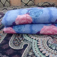 تشک پشمی