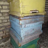 جعبه زنبور عسل