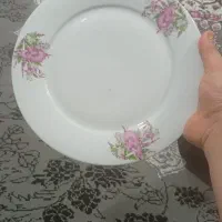 بشقاب|ظروف سرو و پذیرایی|گرگان, |دیوار