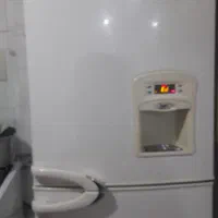 یخچال دلفین