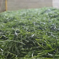 سبزی ذرت نخود سبزی آماده مصرف باقالا لوبیا|خوردنی و آشامیدنی|تهران, افسریه|دیوار