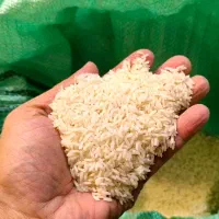 برنج را مستقیم از من کشاورز می خرید