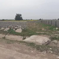 زمین