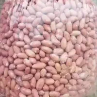 بادام زمینی درجه یک