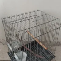 قفس پرنده سالم