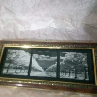 تابلو|تابلو، نقاشی، عکس|کرمان, |دیوار