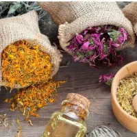 گیاهان دارویی