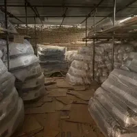 شهر سپر جلو خودرو 5 0 4 همه رنگ همه نوع اصلی شرکتی