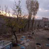 دامداری ویلا 310متر|فروش خانه و ویلا|سلماس, |دیوار