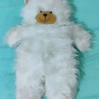 خرس بزرگ