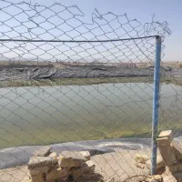 فروش-باغ-و-زمین-کشاورزی-قیمت-مفتی