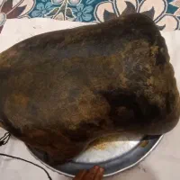 هیزه|ظروف نگهدارنده، پلاستیکی، یکبارمصرف|کوهدشت, |دیوار