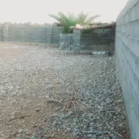 زمین تخت