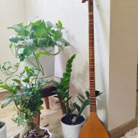 سه تار
