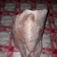 سنگ شجر|کلکسیون اشیاء عتیقه|زنجان, |دیوار