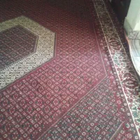 ۱۲متری کارکرده بفروش میرسد|فرش|گلستان (تهران), |دیوار