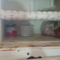 یخچال سالم و بخاری|یخچال و فریزر|زاهدان, |دیوار