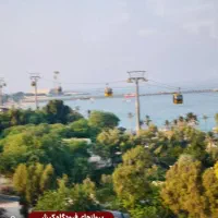نیازمند سرویس مدرسه