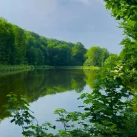 گردشگری|تور و چارتر|بابل, |دیوار