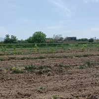 روستای رازان 1000مترباغ یکساله