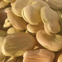 باقله اهوازی اعلا