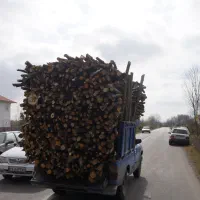 خرید چوب به قیمت روز