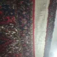 فروش فرش ۹ متری