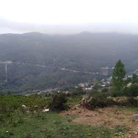 فروش زمین  قسطی به قیمت مناسب