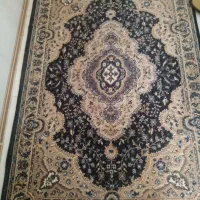 پادری همه باهم یک تومن|پادری|بیرجند, |دیوار