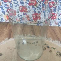 آکواریوم و لوازم جانبی