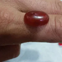 عقیق‌سرخ|کلکسیون اشیاء عتیقه|مریوان, |دیوار