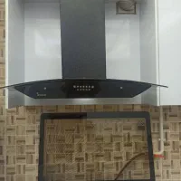 هود در حد نوع