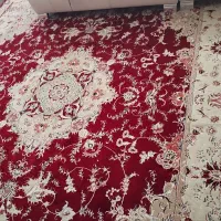 فروش  فرش ۵۰۰ شانە|فرش|مهاباد (آذربایجان غربی), |دیوار