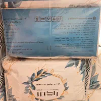 دستمال اقتصادی