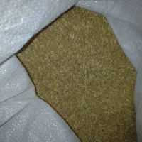 گندم