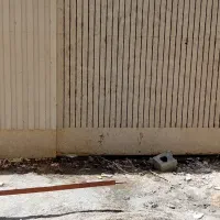 شستشوی نما نانو نما.شست و شوی|خدمات پیشه و مهارت|اصفهان, ملک‌شهر|دیوار